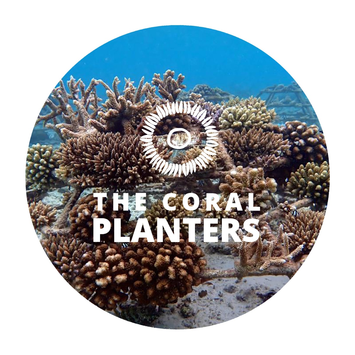 GERGİ BİLYASI E60/E70/E87/E90/E91/E92/E93-N51/N52/N53